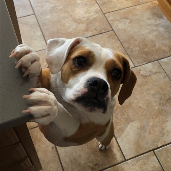 Meet your Posher, Steve - Picture 5 of 7